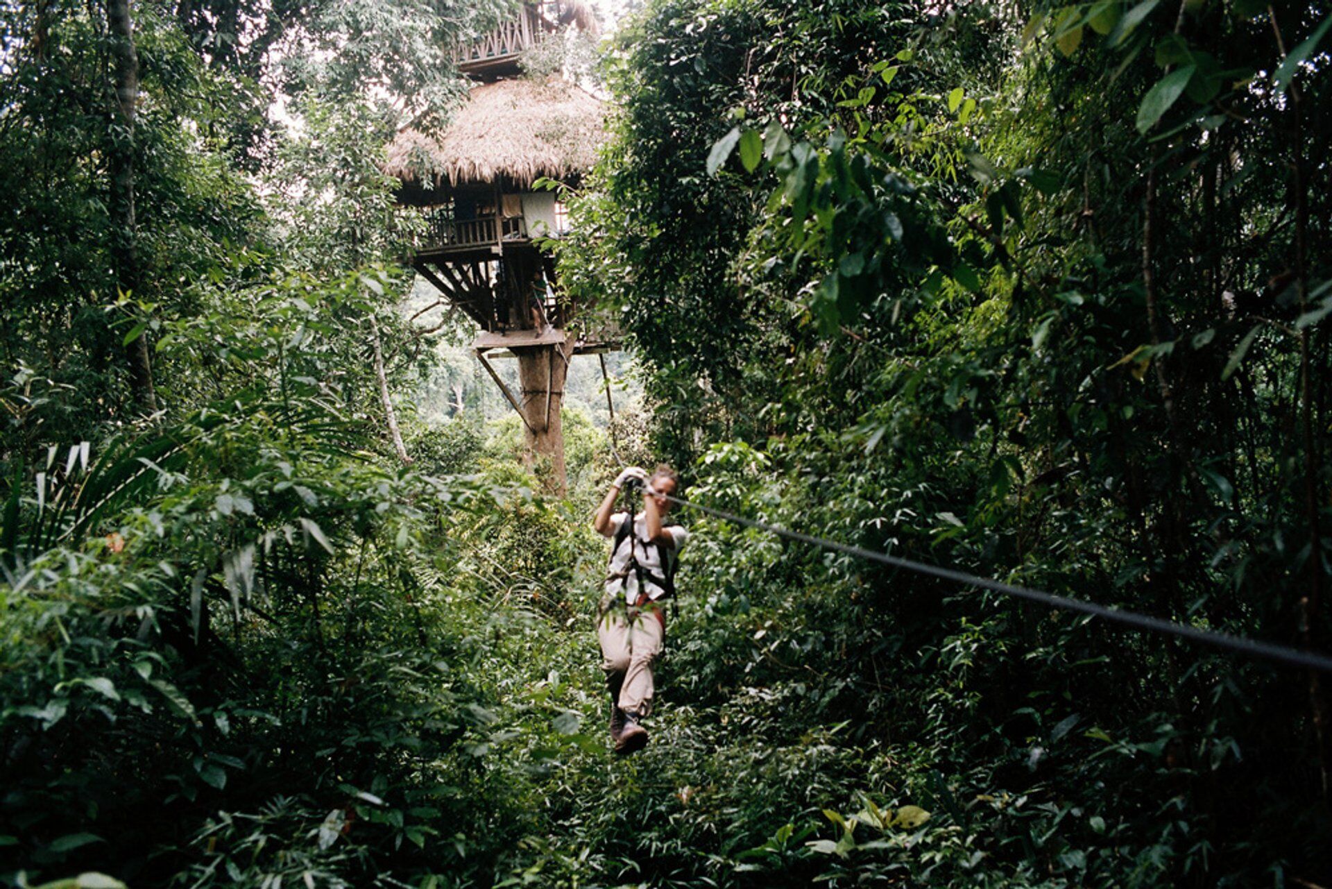 Trek through Laos’ emerald cathedral